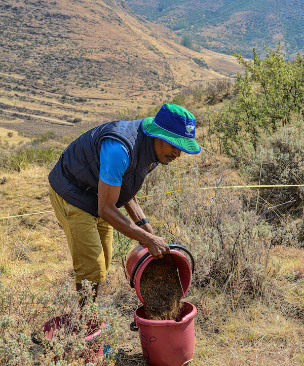 The Land Degradation Surveillance Framework (LDSF)